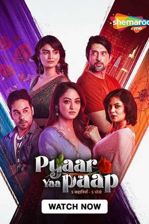 Download Pyaar Yaa Paap (Season 1) Hindi Complete SM WEB-DL Series 480p | 720p | 1080p